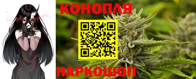 индика Мариинск