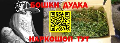 индика Мариинск