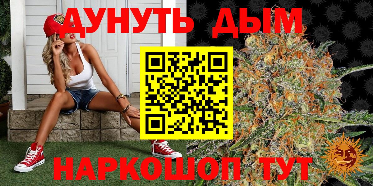 Конопля SATIVA & INDICA Соль-Илецк